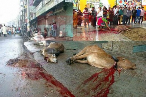 Sacrifice by Humanity ???  â€˜Kurbaniâ€™ Eid killed lakhs of  animals in State : Superstition, bloodshed, inhumanity hovering over Hindus, Muslims rituals in Digital Indiaâ€™s Era of 21st Century ! 