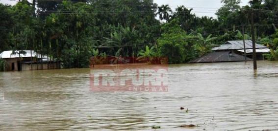 Kanchanpur : Heavy rainfall caused massive flood 