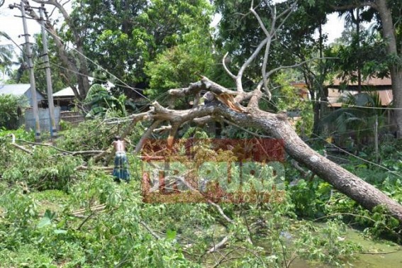 Rain uproots tree, damaged electricity wires, City reels under power cuts: laying of underground power cables is a long distant dream in Tripura 