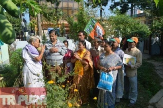 VC election: campaigning underway in full swing 