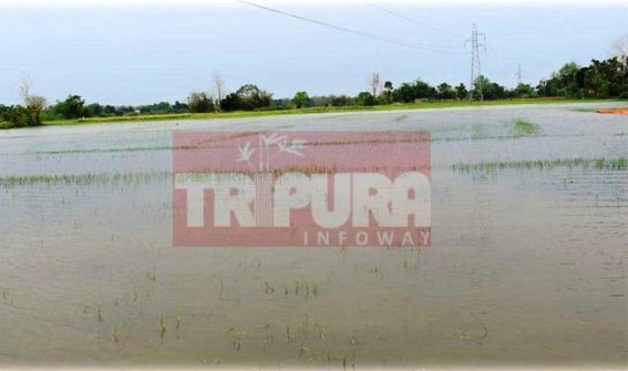 Tripura villages devastated due to excessive rain  
