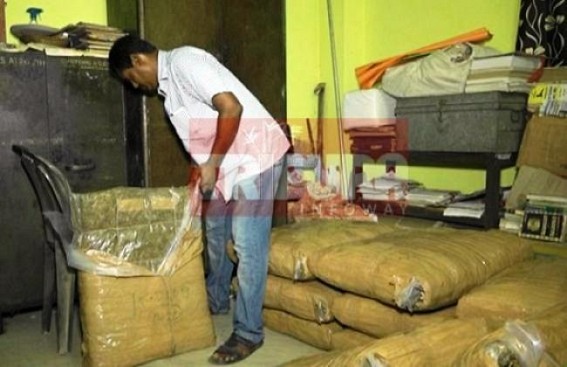 NE Tripuraâ€™s illegal Ganja business at rise : police arrested only 1 person in last FY 