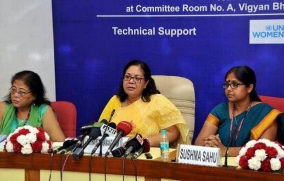 Central Govt review Tripura NGOs' works 