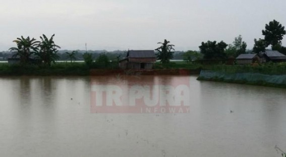 Paddy fields washed away in rain, farmers running under loss Paddy fields washed away in rain, farmers running under loss