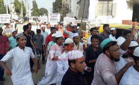Anti-Nationalists who do not believe in Democracy but 'Use' Democracy, protest for Rohingyas 