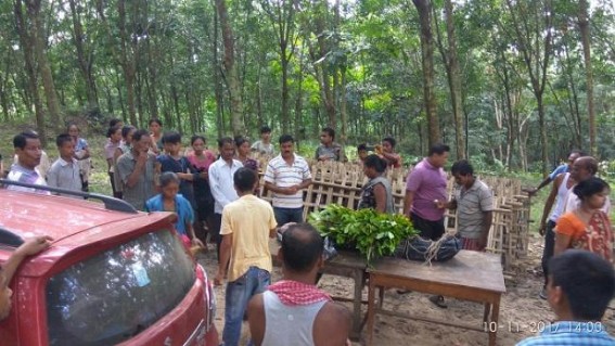 Rubber garden worker died in accident  at Kumarghat