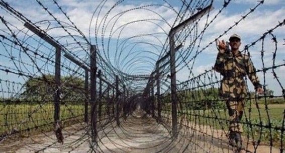Committee to submit report to SC on border fencing