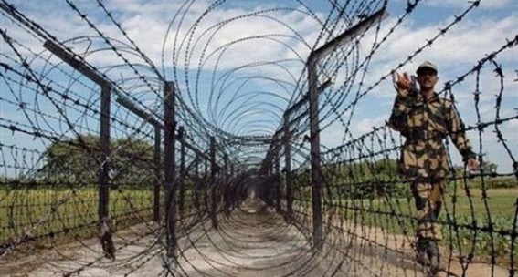 Committee to submit report to SC on border fencing Committee to submit report to SC on border fencing