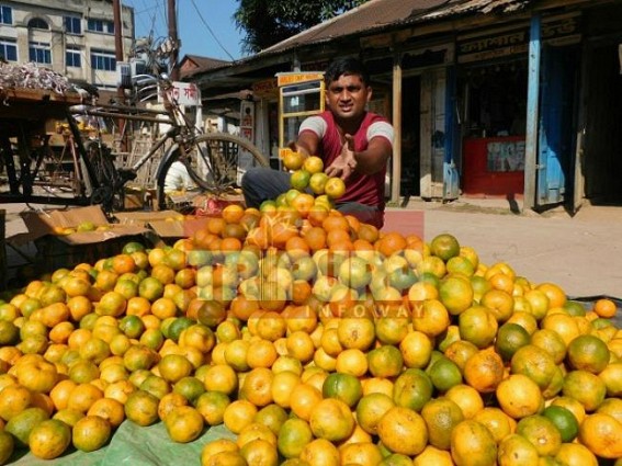 Mass demand of oranges in Tripura @ Rs. 10 per piece