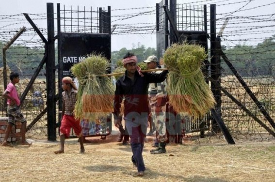 Tripura families affected by border fencing being rehabilitated Tripura families affected by border fencing being rehabilitated