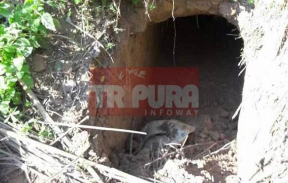 Long tunnel for Indo-Bangla route discovered at Melagharh Long tunnel for Indo-Bangla route discovered at Melagharh
