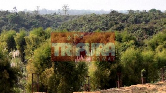 Rs. 17 lakhs Botanical garden turned barren land at Unakoti : Forest Dept’s negligence alleged Rs. 17 lakhs Botanical garden turned barren land at Unakoti : Forest Dept’s negligence alleged