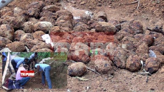 1971's grenades are still active : Bomb Squad SI visits spot, tension grips locals 1971's grenades are still active : Bomb Squad SI visits spot, tension grips locals