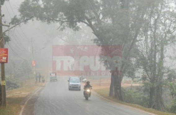 Fog, Cold wave grip Tripura