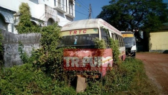 TRTC bus services of long distances stopped
