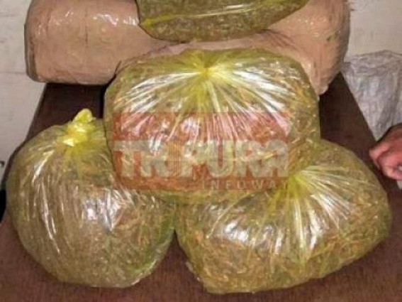 1 arrested in Ganja racket : 3 escaped 1 arrested in Ganja racket : 3 escaped