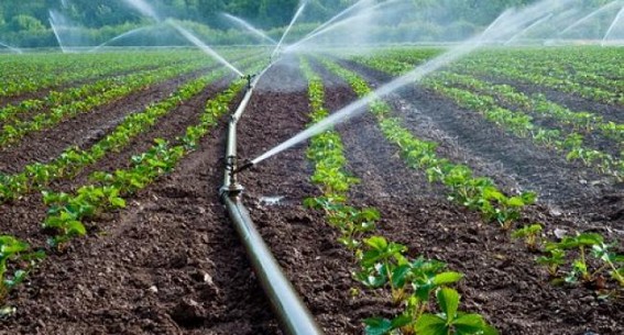Non-release of fund under Irrigation scheme since 2016