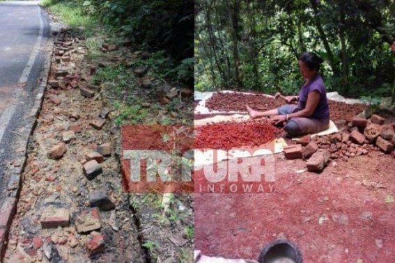 Villagers stealing bricks from roadside at Teliamura road Villagers stealing bricks from roadside at Teliamura road