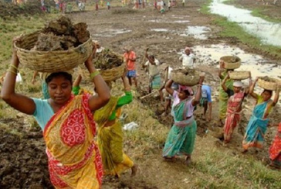 MGNREGA mandays rate downed in poverty gripped Tripura 