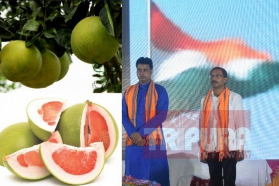 Tripura CM played football with Pomelo in childhood