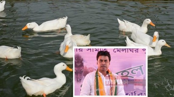 Biplabâ€™s 50,000 free Ducks for Neermahal villagers turned another JUMLA ? Govt silent, no actions 