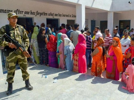 Over 69% voting in Haryana municipal polls