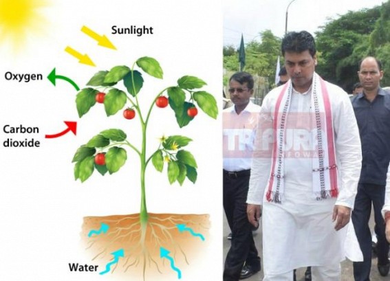 'Photosynthesis was discovered in India before lakhs of years', claims Tripura CM