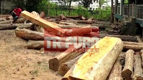 Successful joint operation of BSF & Forest Dept against Illegal wood business at Sonamura