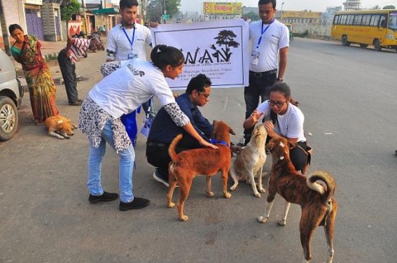 World Rabies Day observed 