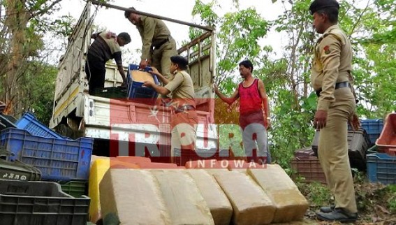 Illegal ganja business on spike : Police arrest Kolkata businessman at Udaipur, vehicle seized with 330 kg ganja Illegal ganja business on spike : Police arrest Kolkata businessman at Udaipur, vehicle seized with 330 kg ganja
