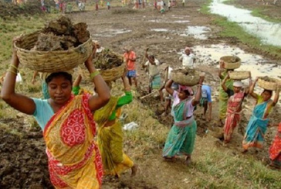 MGNREGA works to begin in Tripura from Monday MGNREGA works to begin in Tripura from Monday