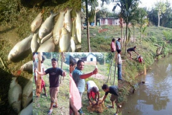 Hangrai, Sankranti celebration begins with picnics