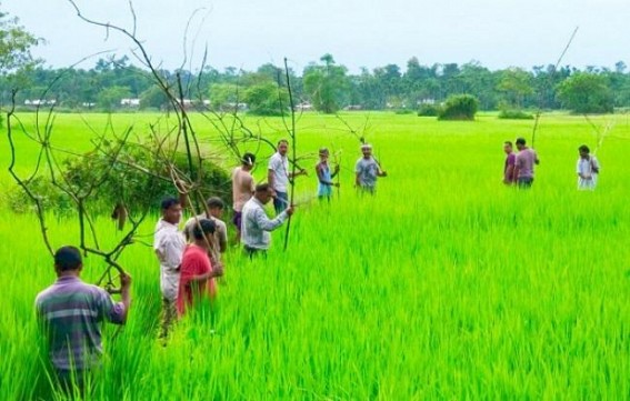 Mizoram urges Centre to cover 80% people under National Food Security Act Mizoram urges Centre to cover 80% people under National Food Security Act
