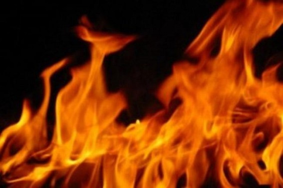 3 dead, 2 injured in Delhi as cars catch fire after crash 3 dead, 2 injured in Delhi as cars catch fire after crash