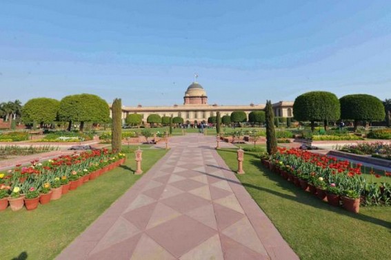Mughal Gardens open for public from Feb 6, display exotic flora