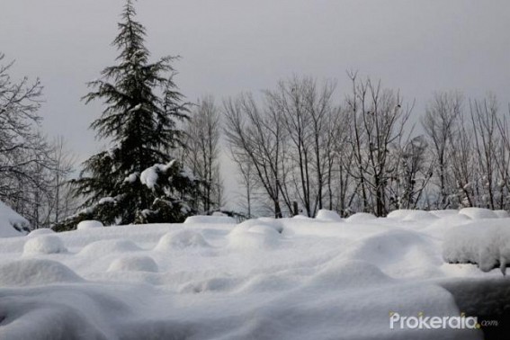 2 killed, 10 missing as J&K gets heaviest snowfall this season 
