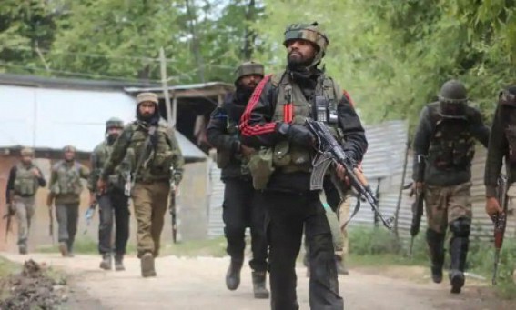 Major, 2 JeM commanders among 7 killed in Pulwama encounter Major, 2 JeM commanders among 7 killed in Pulwama encounter