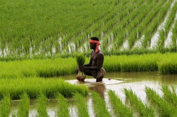 67.82 lakh farmers miss PM-KISAN scheme benefits