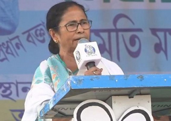 Modi a seasonal bird, afraid of me: Mamata Modi a seasonal bird, afraid of me: Mamata