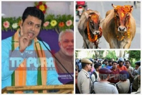 ‘NO House to House Jobs’ : ‘NO VOTE for BJP’ ‘NO House to House Jobs’ : ‘NO VOTE for BJP’