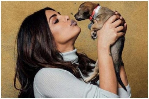Your Genes Decide Whether You Will Own a Dog or Not Your Genes Decide Whether You Will Own a Dog or Not