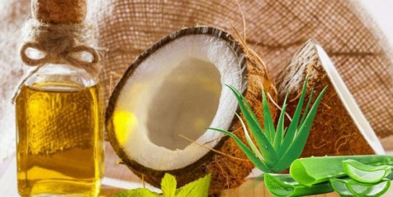 Care for Your Hair with Aloe Vera, Coconut Oil