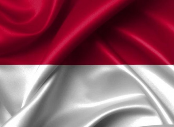 Indonesian opposition demands annulment of polls