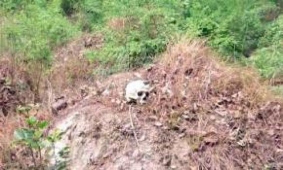 Remains of human skeleton found behind Muzaffarpur hospital, probe ordered