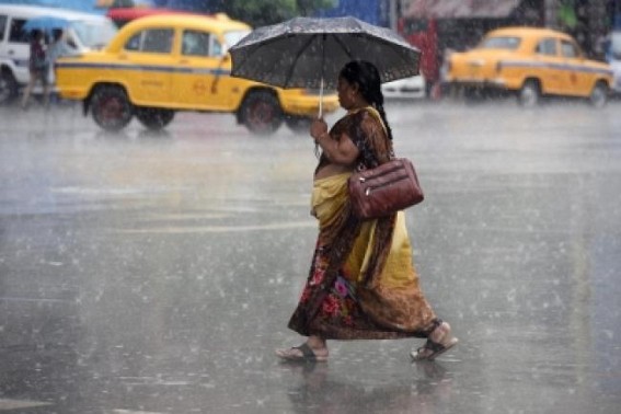 Rain gods kind on Bengal, but conservation must continue: Expert 