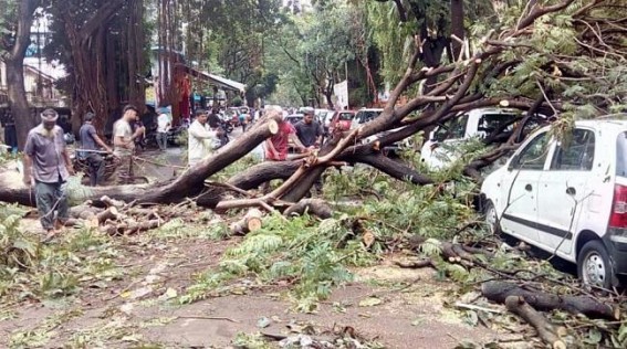 33 killed in Maharashtra rain mayhem