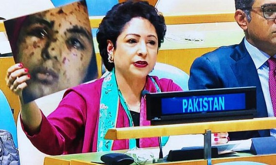 Indian diplomat tears into Pakistan's propaganda on Kashmir Indian diplomat tears into Pakistan's propaganda on Kashmir