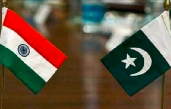 Pakistan dependent on India for anti-rabies, anti-venom vaccines: Report Pakistan dependent on India for anti-rabies, anti-venom vaccines: Report