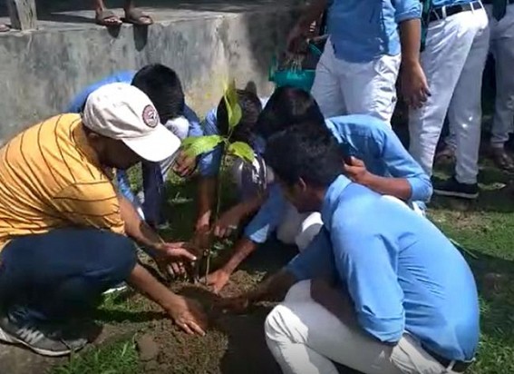 Tripura schools forwarding hands in massive plantation drive Tripura schools forwarding hands in massive plantation drive