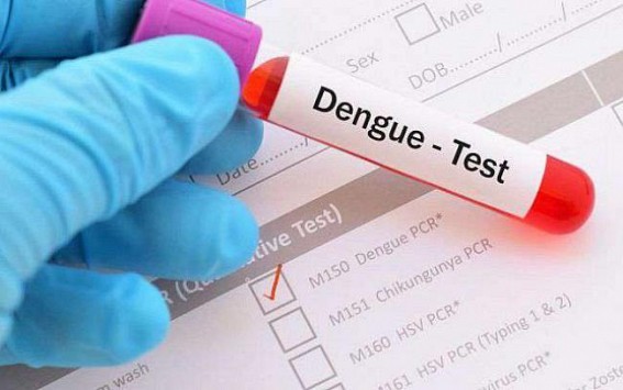 47 dead, over 200,000 infected with dengue in Sri Lanka 47 dead, over 200,000 infected with dengue in Sri Lanka